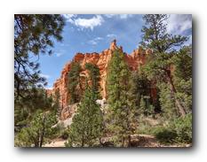 Bryce Canyon NP 52.jpg